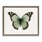 Stupell Industries Green Symmetrical Butterfly Framed Floater Canvas Wall Art Design by Elizabeth Medley